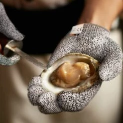 BRIDAY 4 PCS (M + L) Gants Résistants Aux Coupures Niveau 5 De Protection Pour La Cuisine, Mise à Niveau Des Gants Anti-coupure De Sécurité Pour La Coupe De Viande, La Sculpture Sur Bois, Le Tranchage à La Mandoline 8 BRIDAY 4 PCS (M + L) Gants Résistants Aux Coupures Niveau 5 De Protection Pour La Cuisine, Mise à Niveau Des Gants Anti-coupure De Sécurité Pour La Coupe De Viande, La Sculpture Sur Bois, Le Tranchage à La Mandoline -Accessoires de barbecue Soldes 35561448 4