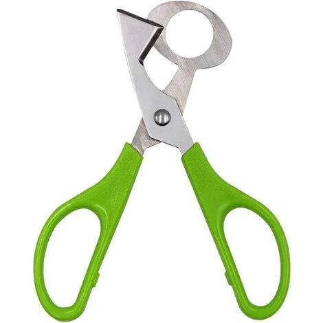 LITZEE 2 Pièces Caille Ciseaux, Ciseaux De Coupe De Coquille D'Oeuf, Ciseaux Coquilles D'Oeufs De Caille En Acier Inoxydable, Pour Couper Les Œufs, Les Œufs De Caille Et Autres Œufs 2 LITZEE 2 Pièces Caille Ciseaux, Ciseaux De Coupe De Coquille D'Oeuf, Ciseaux Coquilles D'Oeufs De Caille En Acier Inoxydable, Pour Couper Les Œufs, Les Œufs De Caille Et Autres Œufs – Image 2