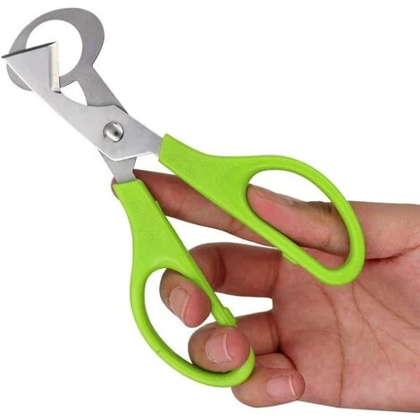 LITZEE 2 Pièces Caille Ciseaux, Ciseaux De Coupe De Coquille D'Oeuf, Ciseaux Coquilles D'Oeufs De Caille En Acier Inoxydable, Pour Couper Les Œufs, Les Œufs De Caille Et Autres Œufs 4 LITZEE 2 Pièces Caille Ciseaux, Ciseaux De Coupe De Coquille D'Oeuf, Ciseaux Coquilles D'Oeufs De Caille En Acier Inoxydable, Pour Couper Les Œufs, Les Œufs De Caille Et Autres Œufs – Image 4