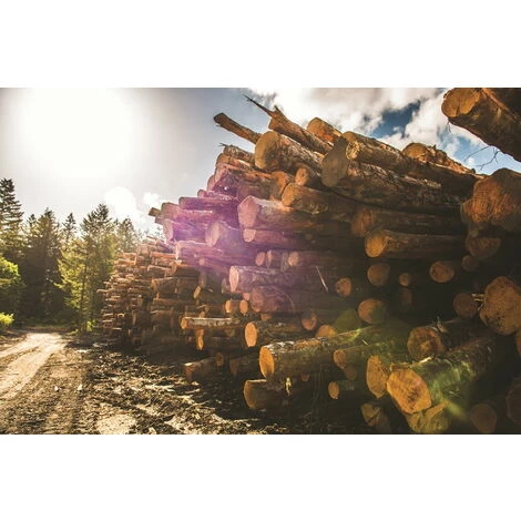 Traeger Pellets Pour Barbecue Apple - Sac De 9 Kg - 100% Naturel 3 Traeger Pellets Pour Barbecue Apple - Sac De 9 Kg - 100% Naturel – Image 3