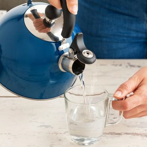 BRICOMARTEAU Bouilloire Quid Acier Inoxydable (2 L) 2 BRICOMARTEAU Bouilloire Quid Acier Inoxydable (2 L) – Image 2