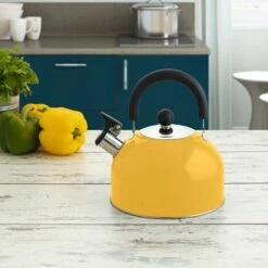 BRICOMARTEAU Bouilloire Quid Acier Inoxydable (2 L) 9 BRICOMARTEAU Bouilloire Quid Acier Inoxydable (2 L) -Accessoires de barbecue Soldes 66004247 5